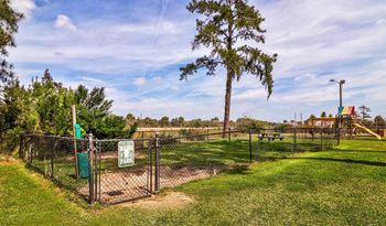 On site dog park